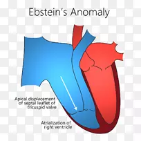 商标字体设计-空若网 商标字体设计-空若网