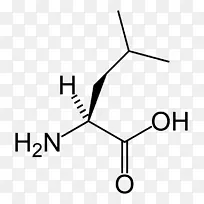 亮氨酸支链氨基酸-空若网 亮氨酸支链氨基酸-空若网