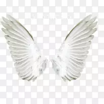 天使剪贴画-天使翅膀-空若网 天使剪贴画-天使翅膀-空若网