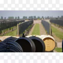 品酒-空若网 品酒-空若网