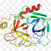 线点生物剪贴画线-空若网 线点生物剪贴画线-空若网