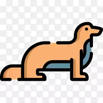 水獭动物野生动物园-螳螂-空若网 水獭动物野生动物园-螳螂-空若网