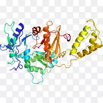 人体首饰有机体线剪贴画线-空若网 人体首饰有机体线剪贴画线-空若网