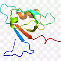 线点生物剪贴画线-空若网 线点生物剪贴画线-空若网