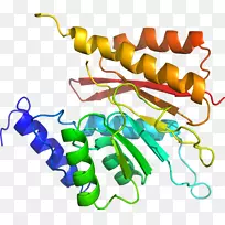 人体首饰有机体线剪贴画线-空若网 人体首饰有机体线剪贴画线-空若网