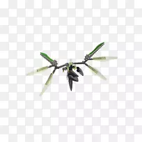 昆虫线螺旋桨-昆虫-空若网 昆虫线螺旋桨-昆虫-空若网
