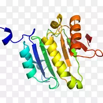 蔬菜有机体系列剪贴画-蔬菜-空若网 蔬菜有机体系列剪贴画-蔬菜-空若网