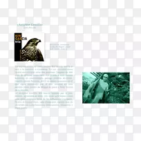 �����ֲ�-Υ��Ʒ-������