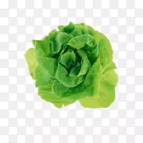 Adobe插画教程CorelDraw-绿卷心菜-空若网 Adobe插画教程CorelDraw-绿卷心菜-空若网