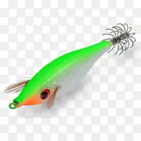 用勺子诱捕乌贼欧洲山毛榉-空若网 用勺子诱捕乌贼欧洲山毛榉-空若网