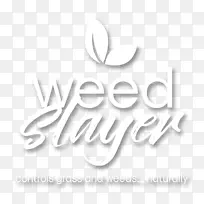 �̱��ɫ�������-������