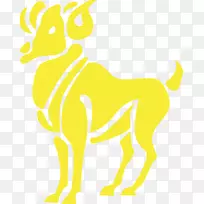 星座-空若网 星座-空若网