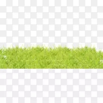 Ïã¸ù²Ý²Ýƺ²ÝµéÂó²ÝÂÌ-Éú»ú²ª²ªµÄÂ̲Ý-¿ÕÈôÍø Ïã¸ù²Ý²Ýƺ²ÝµéÂó²ÝÂÌ-Éú»ú²ª²ªµÄÂ̲Ý-¿ÕÈôÍø