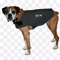 犬种拳击手鼻子狗衣服-超过基本的狗训练-空若网 犬种拳击手鼻子狗衣服-超过基本的狗训练-空若网