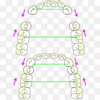 人体行为手指剪贴画-植物-空若网 人体行为手指剪贴画-植物-空若网
