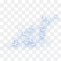 蓝方角蝴蝶灯-空若网 蓝方角蝴蝶灯-空若网