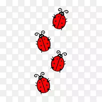 瓢虫-可爱的小瓢虫-空若网 瓢虫-可爱的小瓢虫-空若网