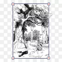 �Ӿ�������è����-����˿�����ɾ�Ģ��-������