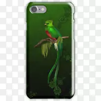 ���ϴ�˹������-�ն���֮ҹ��������-����-������