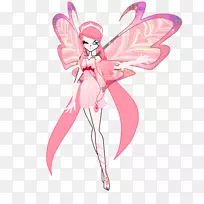 ���������װ���-����b.day-������