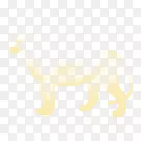 狮子狗猫黄鼻子-狮子-空若网 狮子狗猫黄鼻子-狮子-空若网