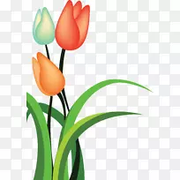 �����㿨ͨ��-������-������