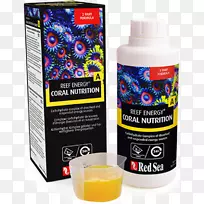 膳食补充剂红海珊瑚礁补充能源-空若网 膳食补充剂红海珊瑚礁补充能源-空若网