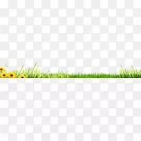 麦草绿近景阳光墙纸绿叶框架植物框架-空若网 麦草绿近景阳光墙纸绿叶框架植物框架-空若网