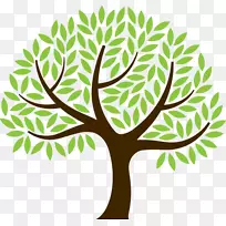 ��ѧ������֦�������Ļ���-������