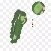 叶树-上坡-空若网 叶树-上坡-空若网