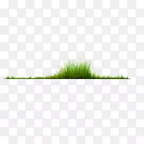 ֲ���-������