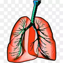 手指血管颈关节夹艺术.血液-空若网 手指血管颈关节夹艺术.血液-空若网