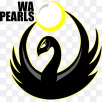 堪培拉热排球俱乐部(男子)墨尔本运动和水上中心珍珠排球-空若网 堪培拉热排球俱乐部(男子)墨尔本运动和水上中心珍珠排球-空若网