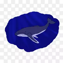 ����׿Ƕ�����-����-������