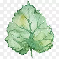 ˮ�ʻ�����-��Ҷ-������