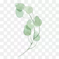 Ҷ��ɫˮ�ʻ�.ˮ��Ҷ-������