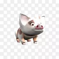 猪鼻-猪-空若网 猪鼻-猪-空若网