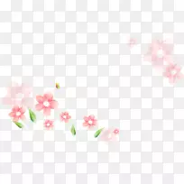 桌面壁纸-kwity wiosenne-空若网 桌面壁纸-kwity wiosenne-空若网