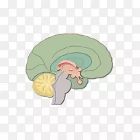 �Ը�������ϵͳ����-��-������