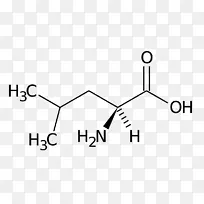 ��ʳ�������ù���������������ʻ�-������