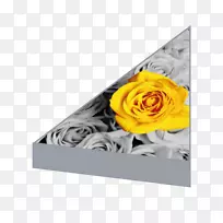 花卉设计长方形-个性化优惠券-空若网 花卉设计长方形-个性化优惠券-空若网