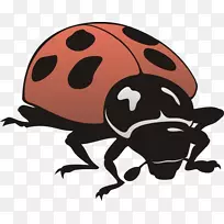 ����һ������ѧư��-����-������