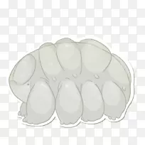 ��Բ�β;�.���-������