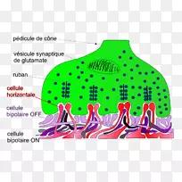 卡通图案设计-空若网 卡通图案设计-空若网