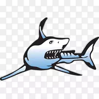 �����ǽ�����ʳ�������-�ǳ��м�ֵ-������