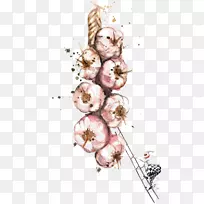 水彩画绘画艺术插图.大蒜-空若网 水彩画绘画艺术插图.大蒜-空若网