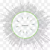 圆形字体-问答-空若网 圆形字体-问答-空若网