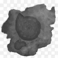 白人-人-空若网 白人-人-空若网