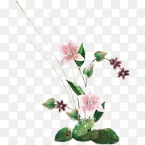 花卉设计切花植物茎人造花-空若网 花卉设计切花植物茎人造花-空若网