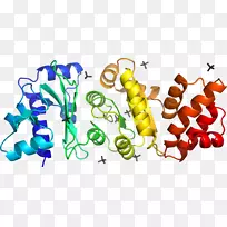 蔬菜有机体系列剪贴画-蔬菜-空若网 蔬菜有机体系列剪贴画-蔬菜-空若网